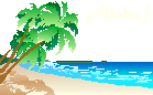 Aloha!